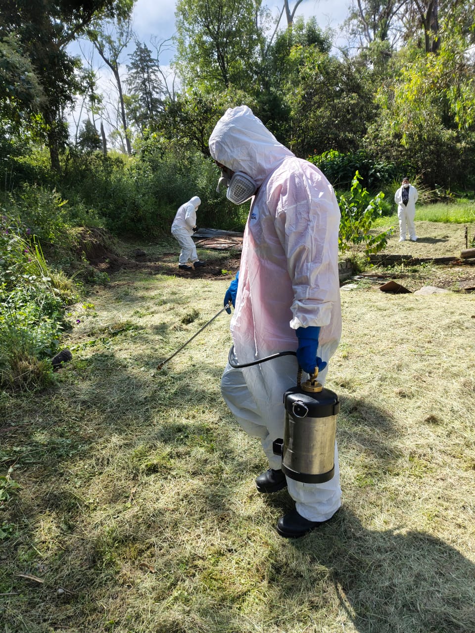 Fumigación y control de plagas en áreas de comida