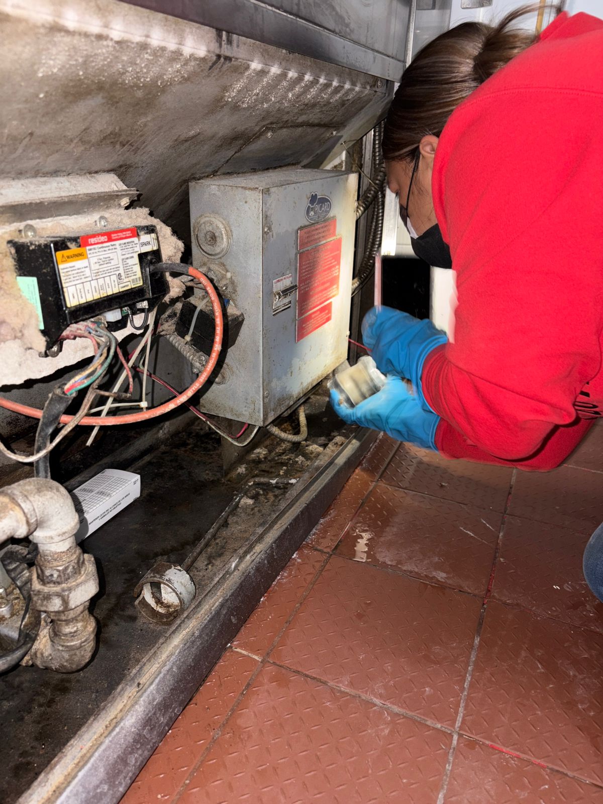 Fumigación y control de plagas en zonas técnicas