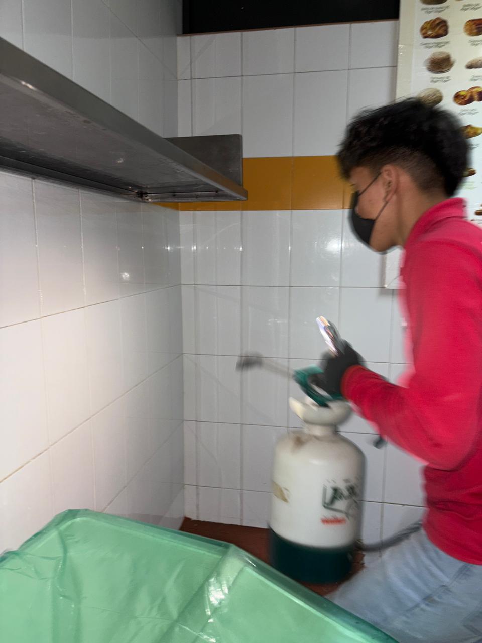Fumigación y control de plagas en cocinas y paredes