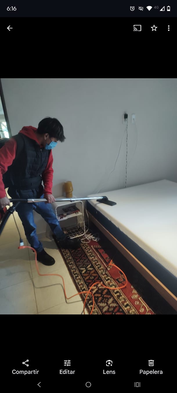 Limpieza y tratamiento de colchones